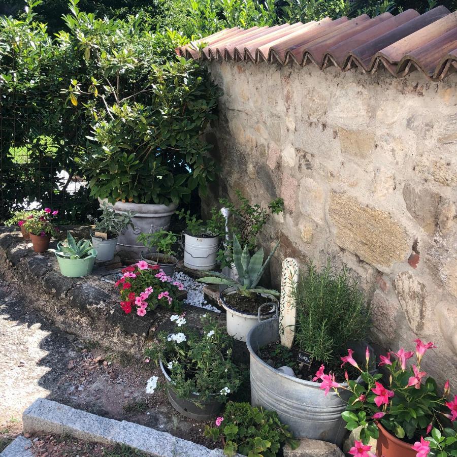 Appartement Casa Nonna Elide 2 à Besozzo Extérieur photo